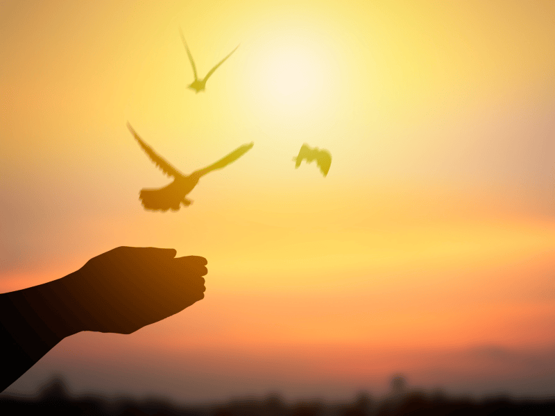 Für wen eignet sich die Buddhistische Psychotherapie in der Heilpraxis für Psychotherapie Winker?