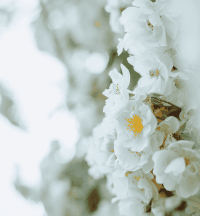 Die Heilpraxis für Psychotherapie Winker bietet in Nürtingen psychologische Beratung und Begleitung in akuten Krisensituationen an