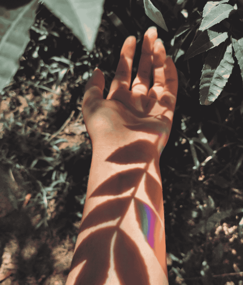 Selbstreflexion Heilpraxis Winker Hand Schattenspiel mit Pflanzen