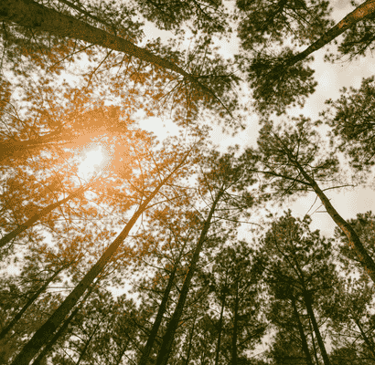 Lösungsorientiert Denken und neue Perspektiven gewinnen durch systemische Therapie in der Heilpraxis für Psychotherapie Winker in Nürtingen