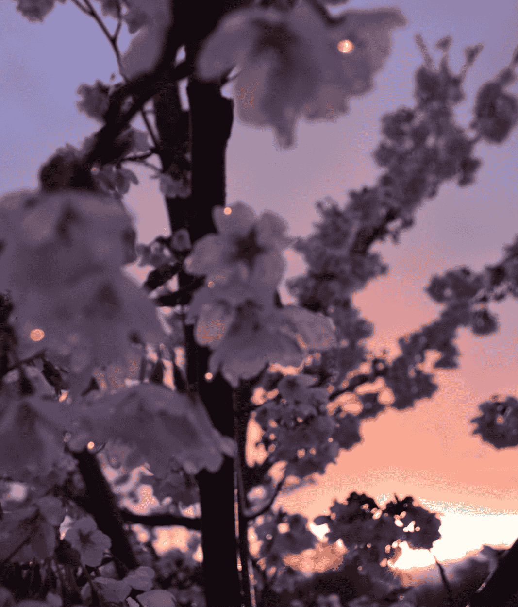 Wie funktioniert die Buddhistische Psychotherapie in der Heilpraxis für Psychotherapie Winker in Nürtingen?